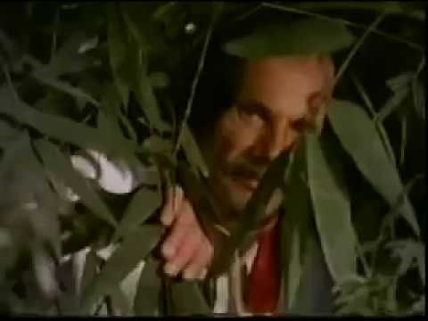 Filme Tropeiro Velho 1980 Teixeirinha Completo