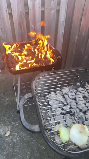 Delicious Barbecue Grilling Techniques and Tips