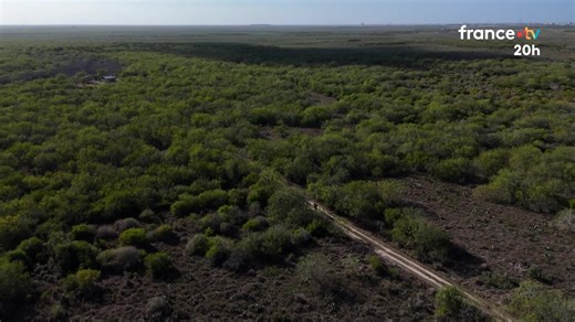 🔍👀Bienvenue à Starbase, la ville rêvée d’Elon Musk. Au Texas, le milliardaire a construit une ville entière où tout est mis en place pour réaliser son rêve : partir à la conquête de Mars. | Le 20h – France Télévisions