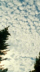 All Things Must Pass" is a song by George Harrison, issued in 1970 as the title track to his triple album of the same name. It was originally released by Billy Preston (as "All Things (Must) Pass"), on his Apple album Encouraging Words, after the Beatles had rejected the song in 1969 for what would become their Let It Be album. "All Things Must Pass" was influenced by the music of the Band, after Harrison had spent time in Woodstock, New York, in late 1968, following the completion of the Beatle