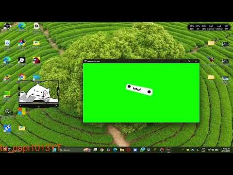 tutorial de cómo hacer que el bongo cat tenga vida