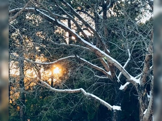 【pick1Bo】最新视频来袭，快来看看吧！