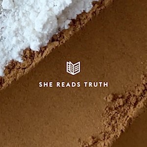 Romans is for everyone. That’s why we created our newest daily Bible reading plan—to help you dive deep into one of the most talked about books of the Bible. The Romans Study Book is packed with daily readings and additional study tools, from overviews to reflection prompts to Scripture memorization. Grab your copy today and discover the joy of reading and understanding Romans yourself! | She Reads Truth