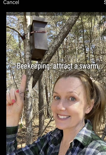 I’m want to entice a swarm of honeybees! Let’s set a swarm box and hope for the best. #savethebees #honeybee #beekeeping #swarm #livesimply #farmstead #swarmtrap