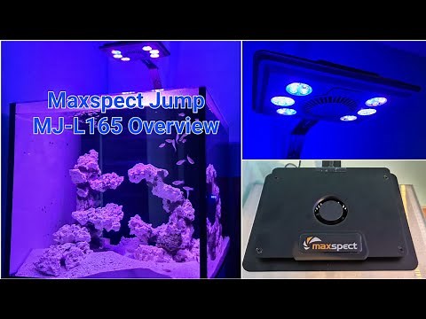Maxspect Jump LED MJ-L165 Overview - Budget Reef Light