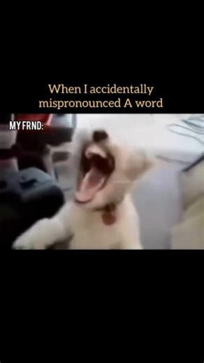 Memes || Humour || Funny on Instagram: "😂🤣 When life hits you with responsibilities, but your brain still runs on Windows XP loading sound... ⏳💀 ✨ Rule No. 1: If it’s funny → SAVE IT ✔️ ✨ Rule No. 2: If it’s relatable → SHARE IT 📤 ✨ Rule No. 3: If you laughed → FOLLOW @teeensvibe vibe 😎🔥 👉 Fun Fact: Laughing burns calories, so technically my memes = free gym membership 🏋️‍♂️😂 💬 Tell me: Which meme made you spit your drink this week? 🥤🤣 Drop it below 👇👇 #MemeDaily #FunnyContent #Rel