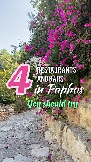 Top Restaurants and Bars to Visit in Paphos, Cyprus