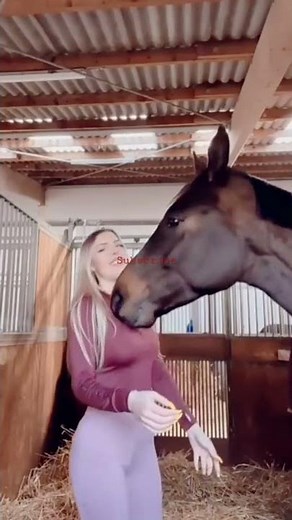 Girl Playing with Horse Now Watch What's Going on funny videos enjoying.