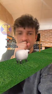 The Goat #funnygame #funnyvideos | Ton Official