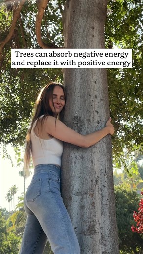 Tree hugger😆🤍 #reels #spirituality #explorepage #fy #fyp #foryoupage #instagram #selflove #nature #trees #treelover #treehugger #trendingreels #trend #green #spiritualtiktok