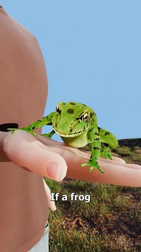 2K views · 14 reactions | Could a huge frog swallow you | 3D Animation Stories | Facebook