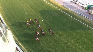 11K views · 98 reactions | #2月15日跑馬地7組試閘 | 超班馬簿 HK Racing Post | Facebook