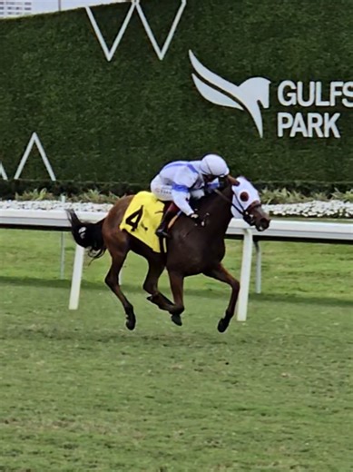 Jane's Bint Mischief romps in the first race under jockey David Egan. #GulfstreamPark #ChampionshipMeet