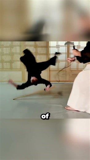 The Ninja's Most Complex Weapon