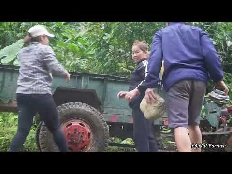 The journey to completing a styrofoam fish tank...