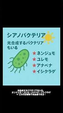 原核生物と真核生物 分類できる？