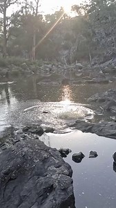 1K views · 18 reactions | David Brace rolling the ZMan Mulletron LT...