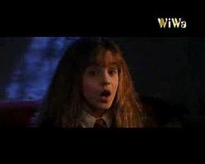 Fresh Dambeldor verarschung