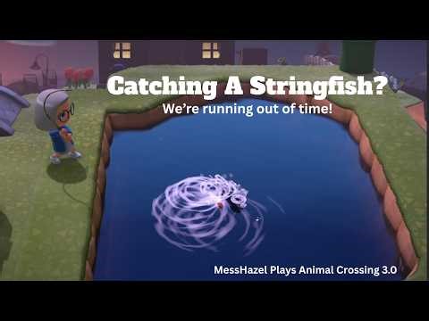 MessHazel Plays Animal Crossing 3.0: Catching A Stringfish?