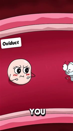 #animation #funny #fyp #usa🇺🇸