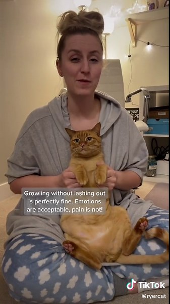 How to Brush a Cat's Teeth: Step-by-Step Guide