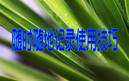 尝试Ai小说自动写作工具WriteWise