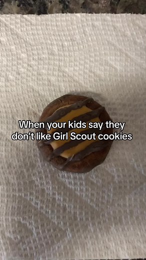 Creative Girl Scout Cookie Recipe for Picky Eaters