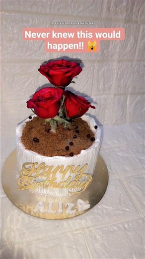 😍easy flower pot cake#shorts #shortvideo #shortsfeed #viral #trending #cake #caketutorial#ytshorts