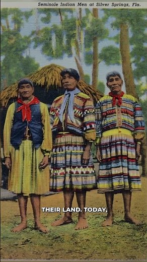The kingdom of the Seminole