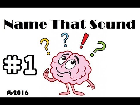 Name that sound game. what is that sound game. can you guess the sound guess the sound