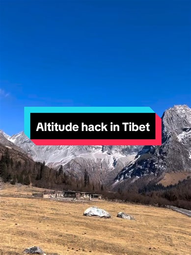 Altitude hack in Tibet 🐎 When the air gets thin and walking feels heavy, there’s a gentler way to keep moving—sometimes, the horse ride is the altitude remedy. Slow, steady, and surprisingly comforting up there. For more tips, follow @JayChongqingTour #TibetTravel #AltitudeTips #TravelHacks #HighAltitude #HorseRide