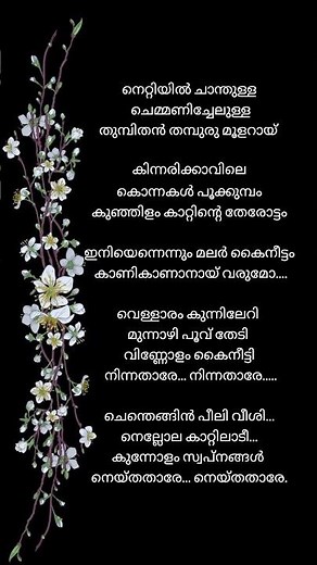 Vellaram Kunnileri Song Lyrics Swapna Sanchari #jayaram #swapnasanchari #song #lyrics