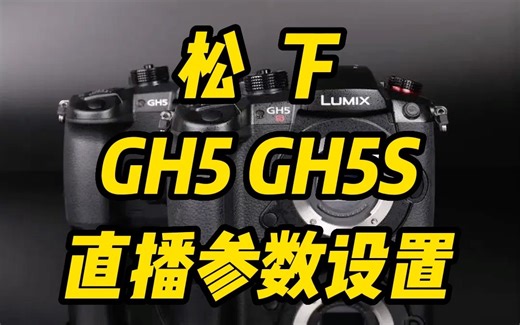GH5S GH5 直播设置参数