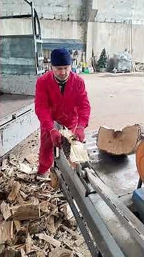 Wood Splitting 101: A Beginner's Guide to Splitters