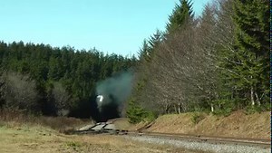 To find out more information about riding the trains of the Durbin & Greenbrier Valley Railroad, please visit the following link: >>>>>>>>>> https://mountainrailwv.com/