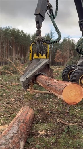 how to move the tree and process it with the 1270g harvester #viral-001 #automobile #harvester #wood | Barbara Lopez