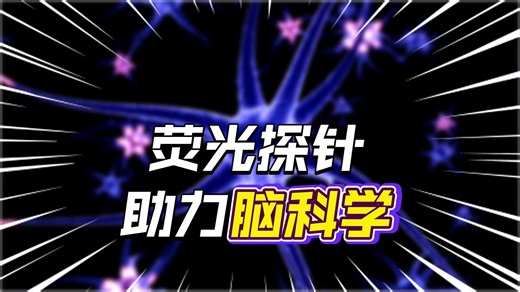 新维创科普┃3-甲氧基酪胺-CY5 神经科研好帮手