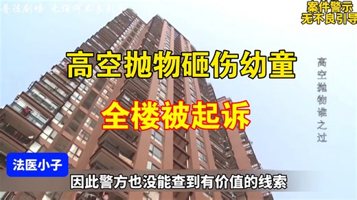 【大案纪实】高空抛物砸伤幼童，致其重伤，全楼住户被起诉!
