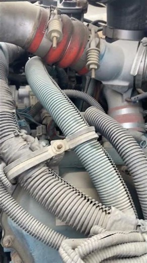 GovDeals: 2003 International 36 Passenger SPED bus. Bus #121