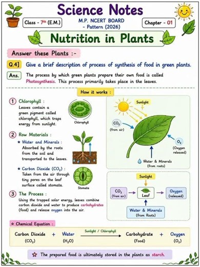 Science Notes🗒️,Class – 7th. Chapter - 01 Nutrition in Plants 🪴 #study #science #Shorts #easynotes.