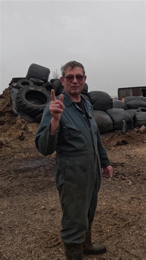 Dealing with a RAT Infestation: Tips and Tricks