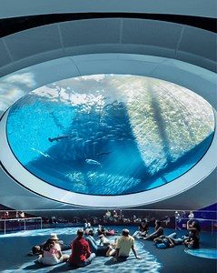 247 reactions · 31 shares | Explore the Phillip and Patricia Frost Museum of Science, Miami’s only planetarium, aquarium and science museum! | Phillip and Patricia Frost Museum of Science | Facebook