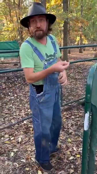 21K views · 1.9K reactions | Fawns are weaned and moved out with the herd guards yesterday. We don’t hang around and film because Bunny (guard donkey) gets instantly protective, chasing the fawns away from us. We’ve learned it goes much smoother if we open the gate and bounce. We will never go near these fawns again. They will live with the guards until spring and leave on their own, joining the wild herds. | Wild Heart Ranch | Facebook