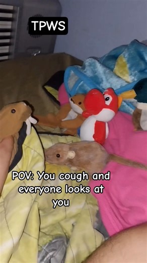 POV: You cough and everyone looks at you #shorts #funny