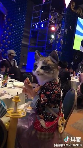 The Most Realistic Cat Costume Ever! 🙀 #Shorts