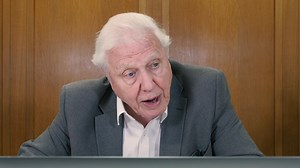 313K views · 2.5K reactions | When Greta Thunberg met Sir David Attenborough. Via The Today Programme. | BBC | Facebook