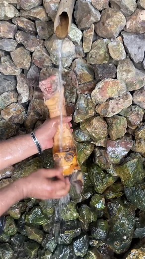 Tutorial Membersihkan Bulu Sapi !! Bagian 15 | Yanto Ganjar