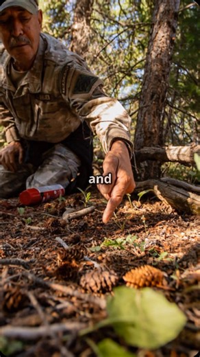 Search and rescue tracking training #searchandrescuetraining #searchandrescue #sartrackers #visualtrackers #trackertraining #training #realworlddogtraining #field | Tactical Tracking School