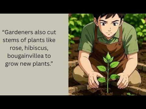 Reproduction in Plants EVS class 5 