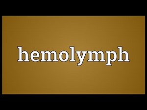 Hemolymph Meaning